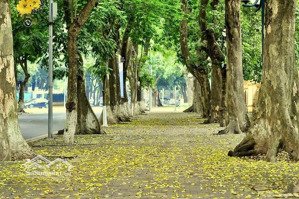 phố vip - dân xây - cách phố ô tô tránh 10m -hai thoáng-mặt tiền rộng-hiếm nhà bán -ba đình