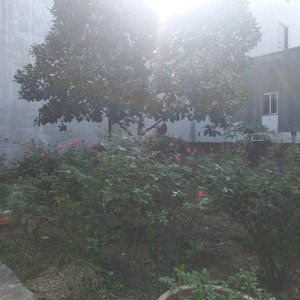 chính chủ cần bán 30m2 đất tại tổ 12 yên nghĩa ô tô vào gần, cách trục chính chỉ 80m