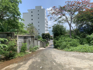 cho thuê đất view đồi hẻm trần phú, phường 5, vũng tàu