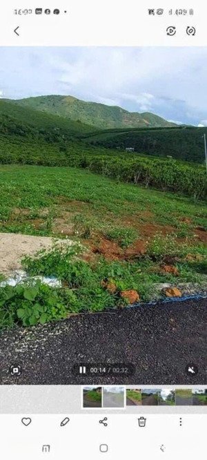 bán đất tại đt 725, lộc ngãi, bảo lâm, lâm đồng, 915 triệu, 259.4 m2 giá ưu đãi