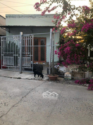 b.án nhà tân hải. phú mỹ bà rịa . g.iá 1ty450.
dt 158m2( 8,5x 19)m. sổ riêng 50m2 thổ cư đường