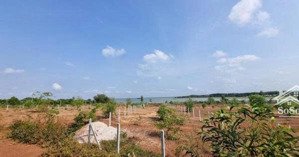 cần bán gấp hơn 1 sào đất view hồ dầu tiếng