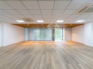láng! sàn 100m² sàn gỗ, view phố sang chảnh, tòa mới xây có pccc, giá tốt chính chủ