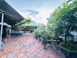 giảm 2 tỷ bán đất tặng nhà cấp 4 mặt tiền đường cầu dứa - phú nông, cải tạo làm nhà vườn tuyệt vời