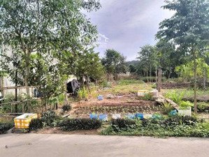 bán gấp lô đất tân hiệp tân uyên chủ ngộp 1,2t/150m2, đường 5m ô tô thoải mái, đầu tư sinh lời tốt