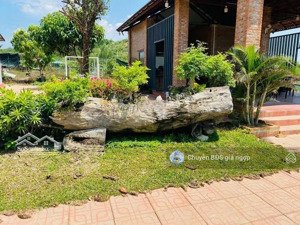 bán đất tp đồng xoài - 2080,4m2 - 200 thổ cư, đúng giá 800tr - shr. đất có nhà cấp 4+vườn trái cây