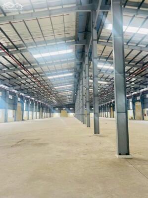 Cho thuê 16.500m² đất có 6.000m² kho nhà xưởng, văn phòng làm việc,.. Tại Khu công nghiệp Tịnh Phong, Quảng Ngãi.