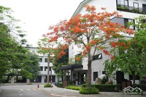 cần bán nhà phố khu thung lũng mùa xuân 1c ở ecopark văn giang, hưng yên
