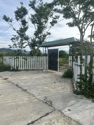 bán đất thổ cư có sẵn farm đẹp 1.000m2 chỉ 2,5triệu/m.