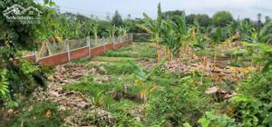 Bán đất 2 mặt tiền đường tuyến tránh QL 56 phường Long Hương TP Bà Rịa Vũng Tàu