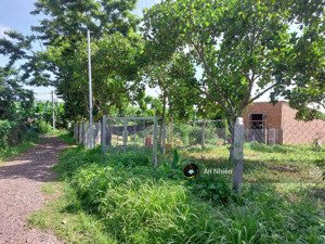 bán gấp vườn mít đang cho trái, chỉ 550 triệu sở hữu 1000m đất xanh mướt tại phú túc, định quán