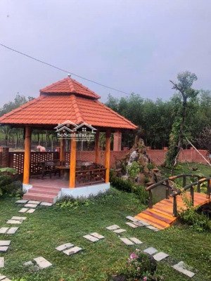 cần tiền bán gấp lô đất bình châu - xuyên mộc, vũng tàu, gần suối nước nóng bình châu, chỉ 1,4 tỷ