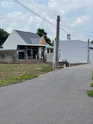  BÁN GẤP ĐẤT NGỘP BÀU BÀNG 