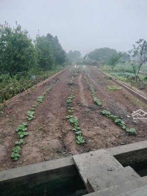 bán lô đất 348m2 cln, mặt tiền đường nhựa 10m ngay cạnh khu dân cư tại yên lộ, yên nghĩa, hà đông