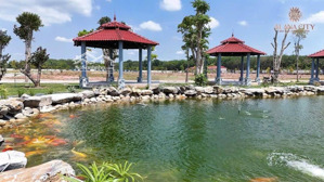 bán đất nền dự án kđt alana city, đt 741, phước hòa, phú giáo, 15,5 triệu / m2, 68,8 m2