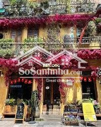 cho thuê biệt thự khu ngoại giao đoàn kinh doanh mọi mô hình dt 600m2, 3 tầng mặt tiền 15m