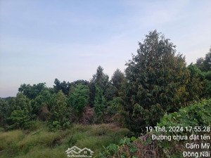 cần bán 2,3ha đất tại xã bảo bình, huyện cẩm mỹ, tỉnh đồng nai.