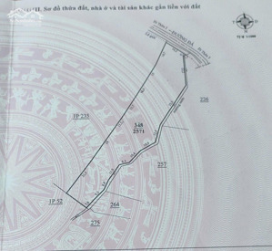 gia đình cần bán gấp! 2500m2 đất trồng cây lâu năm có sẵn cà phê. đạ sar - lạc dương - lâm đồng
