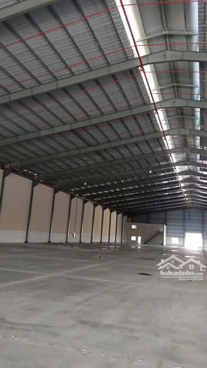cho thuê kho xưởng & văn phòng mặt tiền đẹp, tỉnh lộ 830c, kv: 5.500m2, xưởng: 3.000m2, long an