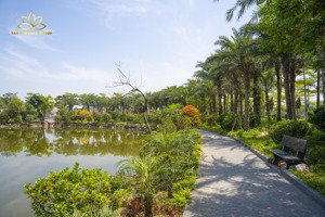 biệt thự vườn hồng, nam hồng, từ sơn. vị trí cạnh dự án sun group và đh ngoaị thương, luật cs2