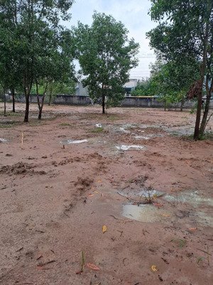 bán lô đất mặt tiền nguyễn văn nhỏ 50x300 đất đã có phê duyệt phân lô tách thửa