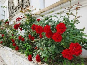 bán căn hộ cc đông hưng, kdc an sương, 94m2, 2pn, tân hưng thuận, q12. 2ty850tr