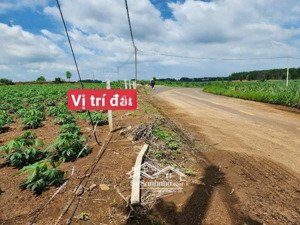 bán đất sào 1000m2, ngang 15.5m mặt tiền đường nhựa, xã hưng thịnh