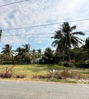 siêu phẩm cực đẹp bán gấp đất gần trường đh tiền giang cơ sở 2, dt 177m2 giá 630tr sổ hồng riêng