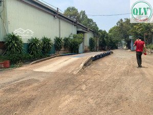 cho thuê nhà xưởng 19.989m2 phù hợp cưa xẻ, sấy tẩm gỗ hớn quản, bình phước