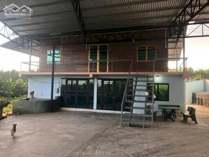 Cần Bán Nhà Homestay 1Lầu Có vườn Bưởi 8năm Đang Cho Thu Hoạch Ổn Định
