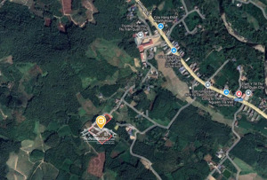 đất vườn 6.666m² tại ngã ba, 2 mặt tiền, địa hình lý tưởng làm nhà vườn nghỉ dưỡng hoặc đầu tư