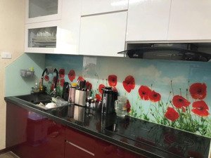 bán căn hộ chung cư newtatco vĩnh phúc ba đình, giá 5,xtỷ - 74,2m2 - 2pn-2vs 