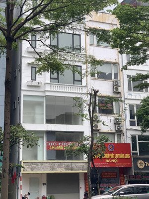 cho thuê nhà mặt phố duy tân 7 tầng 80m2 - 5m mặt tiền. kd spa, văn phòng, hiệu thuốc, quán ăn
