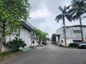 cho thuê 215 m2 kho xưởng trong cụm công nghiệp, xã trưng trắc, huyện văn lâm, tỉnh hưng yên