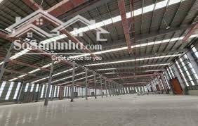 Cho thuê kho xưởng 4000m2, 7000m2, 15.000m2 đến 25.000m2 tại KCN Nhơn Trạch, Đồng Nai
