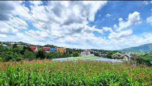 bán lô đất 348m2 có thổ 100m2 cách quốc lộ 20 200m : view đẹp đất bằng mà giá 1ty89 gặp trực tiếp