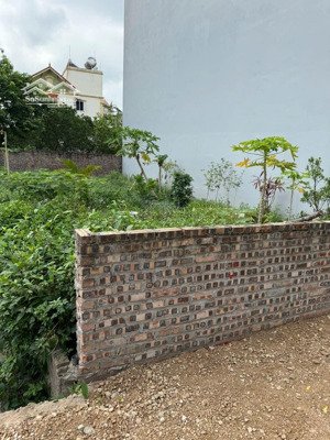 cơ hội vàng chỉ có một tại yên hà, hải bối, đông anh!