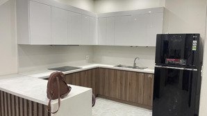 căn hộ cc cho thuê đẹp xuất sắc tại homyland riverside, 13 triệu, 80m2