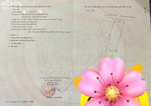 Bán đất Ngọc Hải - Đồ Sơn - Hải Phòng