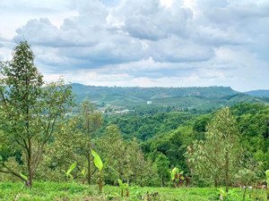 bán miếng đất 880m2 nguyễn văn cừ nối dài giá rẻ