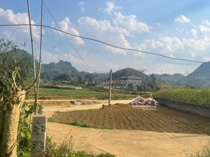 bán đất đẹp view hồ trung tâm mộc châu sổ riêng, giá tốt!