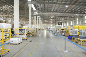 cho thuê kho xưởng mới 16.000m2, pháp lý chuẩn, giá tốt tại kcn đức hòa, long an