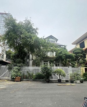 bán biệt thự vườn đào tây hồ - hàng xóm lotte - mặt vườn hoa nội khu - 290m2 x 4t có hầm - 174 tỷ