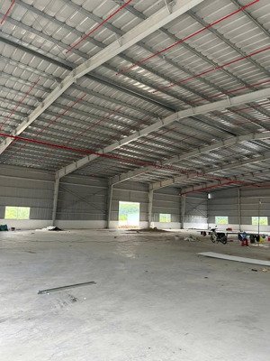 kho cho thuê gấp tại tân định, bắc tân uyên, bình dương, 250 triệu, 4200 m2