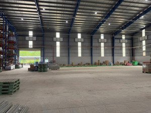 cho thuê kho, nhà xưởng tại xã tóc tiên, phú mỹ, bà rịa vũng tàu, 55 nghìn / m2, 3000 m2