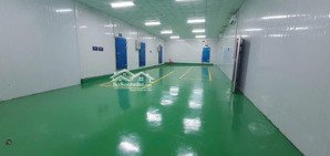 cho thuê kho cấp đông 1800m2 sầu riêng thị trấn phước an krong pắc