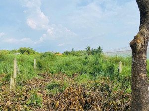 hot hòn họt bán gấp lô đất đoàn minh triết, củ chi giá siêu hời 5x31m2