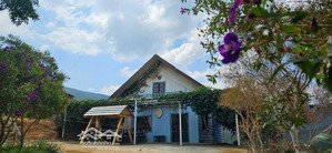 bán dự án sinh thái mắc ca đa tầng 114ha đà lạt sinh lời lâu dài