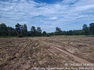 cho thuê đất mặt tiền 749 long nguyên, bàu bàng