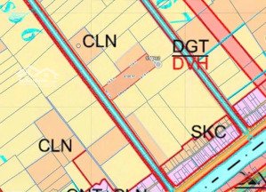 ccg cần bán đất vườn kênh 6, xã bình lợi, huyện bình chánh. tổng diện tích 9.130m2, ngang 53mx 172m